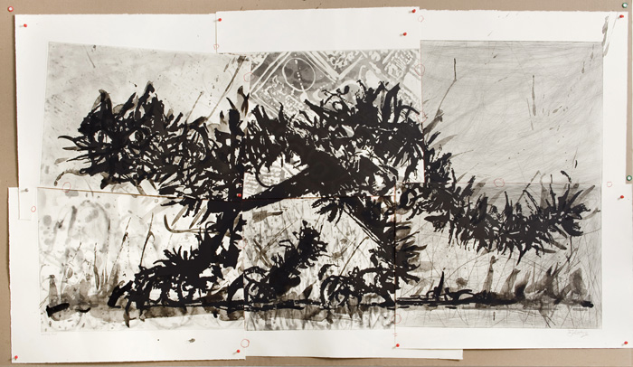 <em>Scribble Cat </em>. Etching over 6 pages, circa 40 x 71 inches (slight variation possible). Ed. of 30